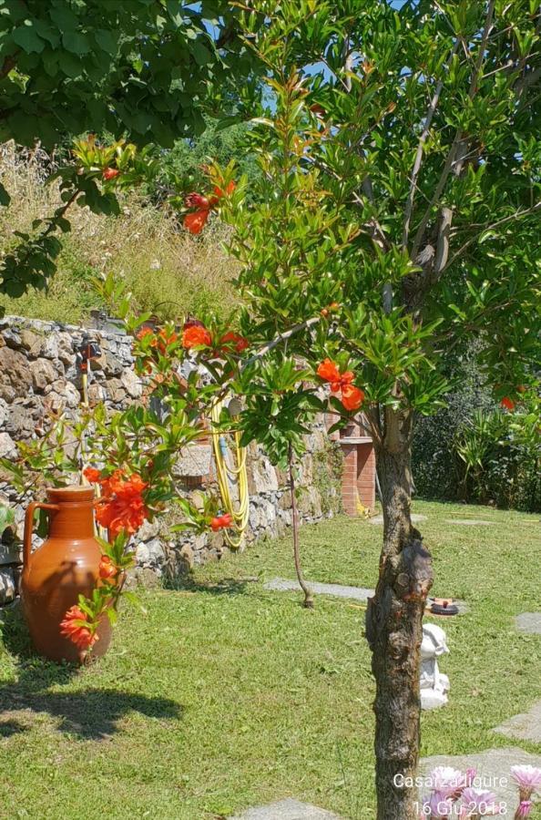 Ca' Olivella Villa Casarza Ligure Exteriör bild
