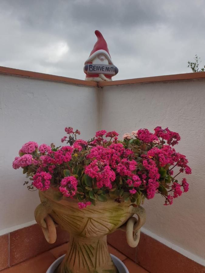 Ca' Olivella Villa Casarza Ligure Exteriör bild